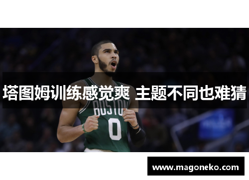 塔图姆训练感觉爽 主题不同也难猜